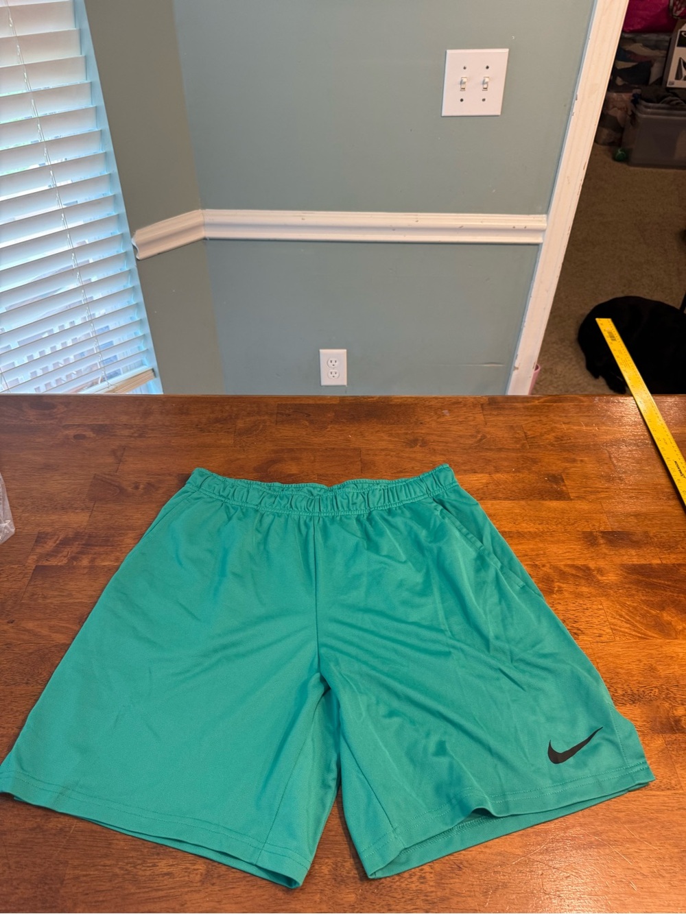 Nike Men’s Dri-FIT Park III Athletic Shorts Hyper Turquoise XL teal green